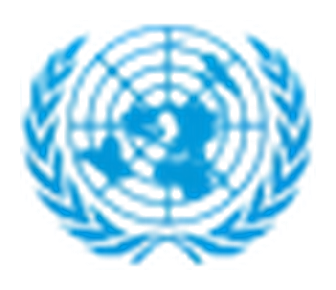 UNITAR logo
